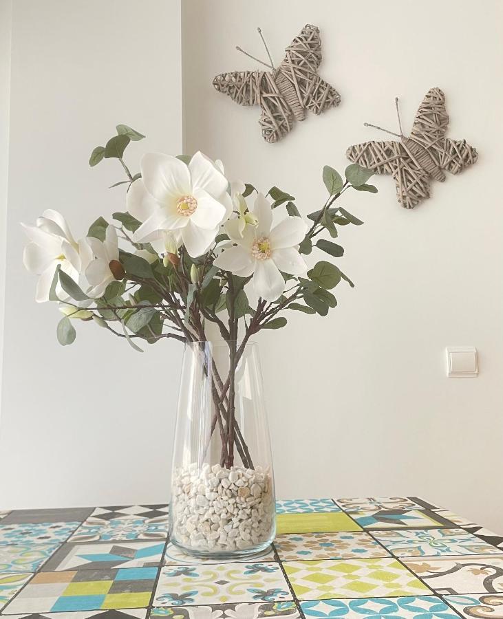 소리아 Apartamento Pinares 아파트 외부 사진